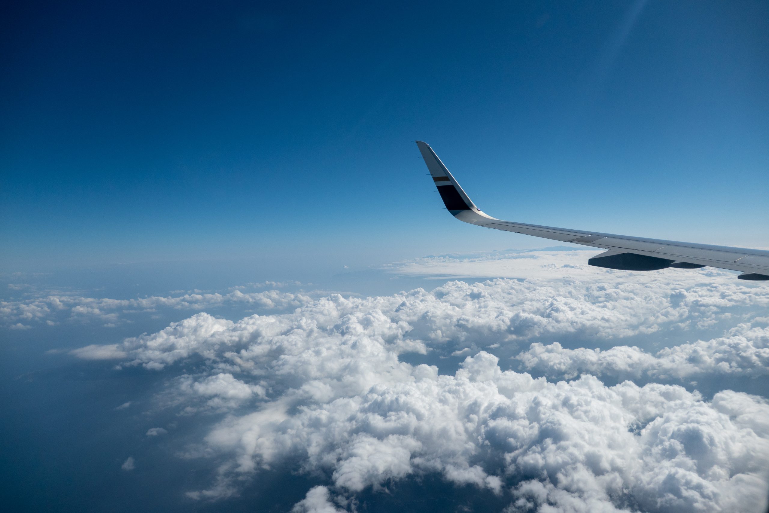 星宇航空乘翔於雲上